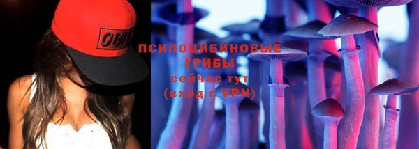 дмт Покровск