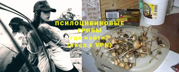 прущая мука Арсеньев
