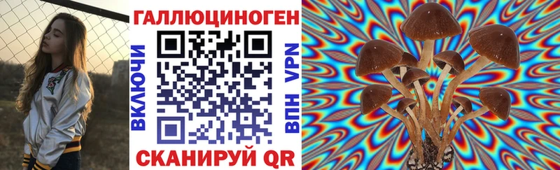 Галлюциногенные грибы прущие грибы где купить Бородино